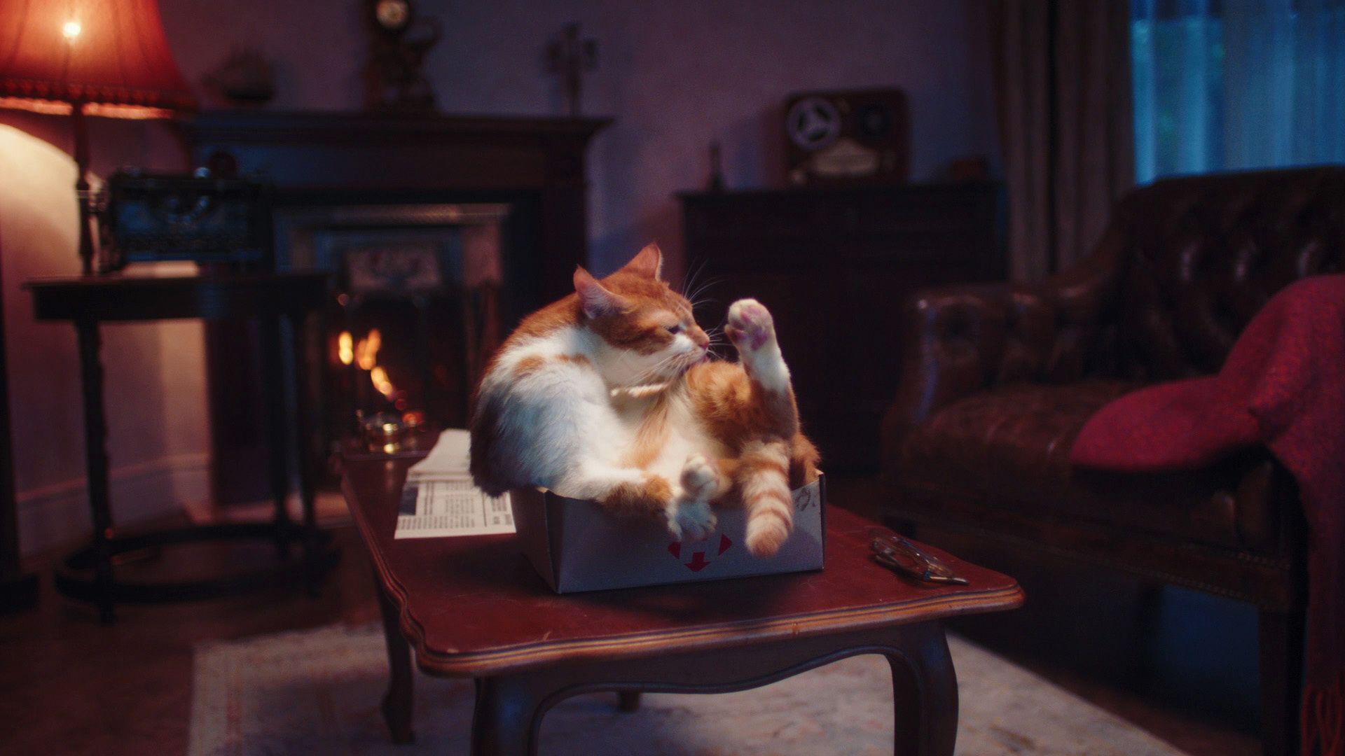 Nova Poshta TVC